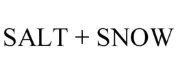 SALT + SNOW trademark