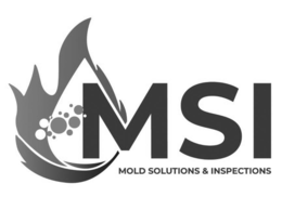 MSI MOLD SOLUTIONS & INSPECTIONS trademark
