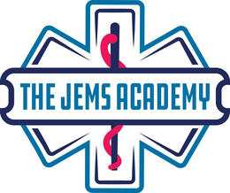 THE JEMS ACADEMY trademark