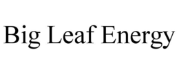 BIG LEAF ENERGY trademark