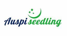 AUSPISEEDLING trademark