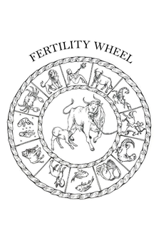 FERTILITY WHEEL trademark