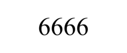 6666 trademark