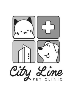 CITY LINE PET CLINIC trademark