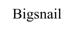 BIGSNAIL trademark