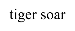 TIGER SOAR trademark