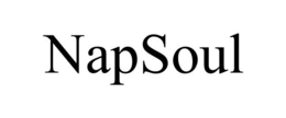 NAPSOUL trademark