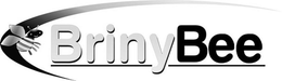 BRINY BEE trademark