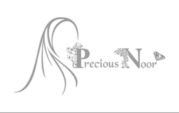 PRECIOUS NOOR trademark