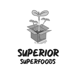 SUPERIOR SUPERFOODS trademark