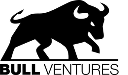 BULL VENTURES trademark