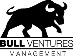 BULL VENTURES MANAGEMENT trademark