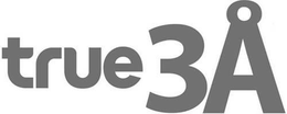 TRUE 3A trademark