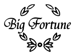 BIG FORTUNE trademark