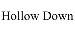 HOLLOW DOWN trademark