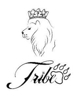 TRIBE trademark