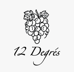 12 DEGRÉS trademark