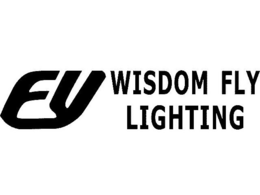FY WISDOM FLY LIGHTING trademark