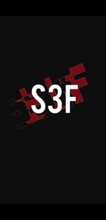S3F trademark