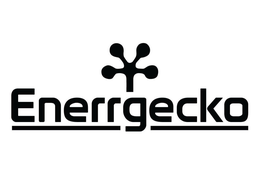 ENERRGECKO trademark