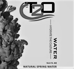 T2O WATER HYDRATE THE CULTURE NATURAL SPRING WATER 16.9 FL OZ trademark
