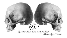 TN YESTERDAY HAS NOT FADED - TIMOTHY NEVIN trademark