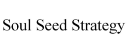 SOUL SEED STRATEGY trademark