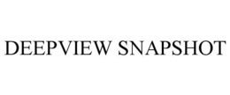 DEEPVIEW SNAPSHOT trademark