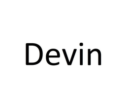 DEVIN trademark