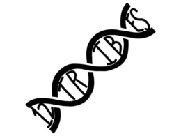 12TRIBES trademark