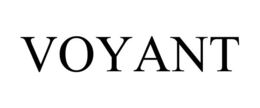 VOYANT trademark