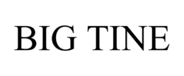 BIG TINE trademark