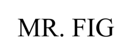 MR. FIG trademark