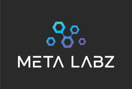 META LABZ trademark