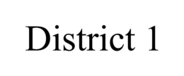 DISTRICT 1 trademark