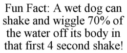 FUN FACT: A WET DOG CAN SHAKE AND WIGGLE 70% OF THE WATER OFF ITS BODY IN THAT FIRST 4 SECOND SHAKE! trademark