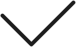 V trademark