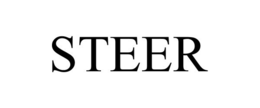 STEER trademark