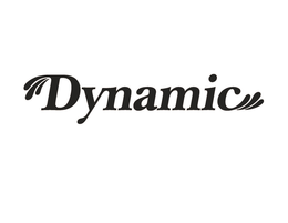 DYNAMIC trademark