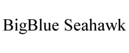 BIGBLUE SEAHAWK trademark