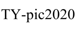 TY-PIC2020 trademark