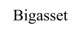BIGASSET trademark