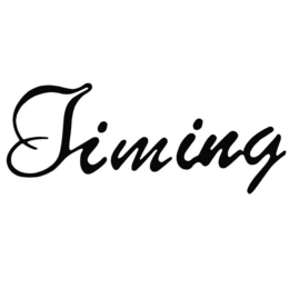 TIMING trademark
