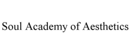 SOUL ACADEMY OF AESTHETICS trademark