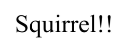SQUIRREL!! trademark