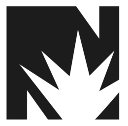 N trademark