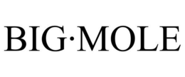 BIG·MOLE trademark