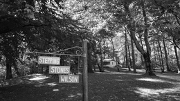 STEPPING STONES WILSON trademark