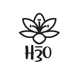 H3O trademark