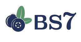 BS7 trademark